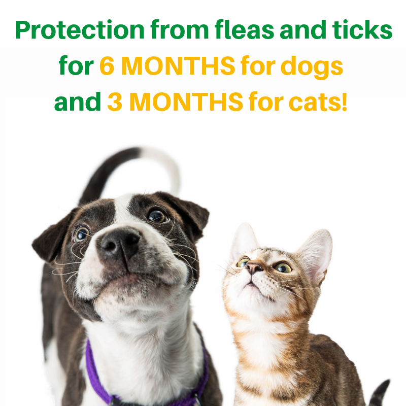 protection from fleas and ticks